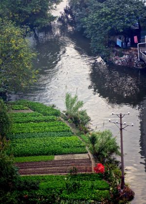 ws water - 07.jpg
